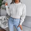 Damenmode Lässig Herbst Winter Rollkragen Zopfmuster Crop Pullover Top