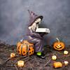 Reading Witch Figurine Halloween Shelf Sitter Witch Statue Resin Gothic