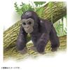 TAKARA TOMY "Ania AC-03 Gorilla (Child)" Animal Dinosaur Realistic Moving Figure Toy for Ages 3 and Up, Meets Toy Safety Standards, ST Mark, ANIA