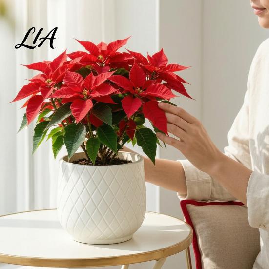 Leichte Kunststoff-Pflanzgefäße für Blumen Großer Blumentopf mit Rautenprägung, Robuster Pflanzkübel Dekorative Pflanzenbehälter Innen Außen