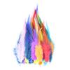 50/100pcs Natural Pheasant Chicken Feathers 10-15cm Colored Cock Plume for Handicrafts and Needlework Dream Catcher Accessories