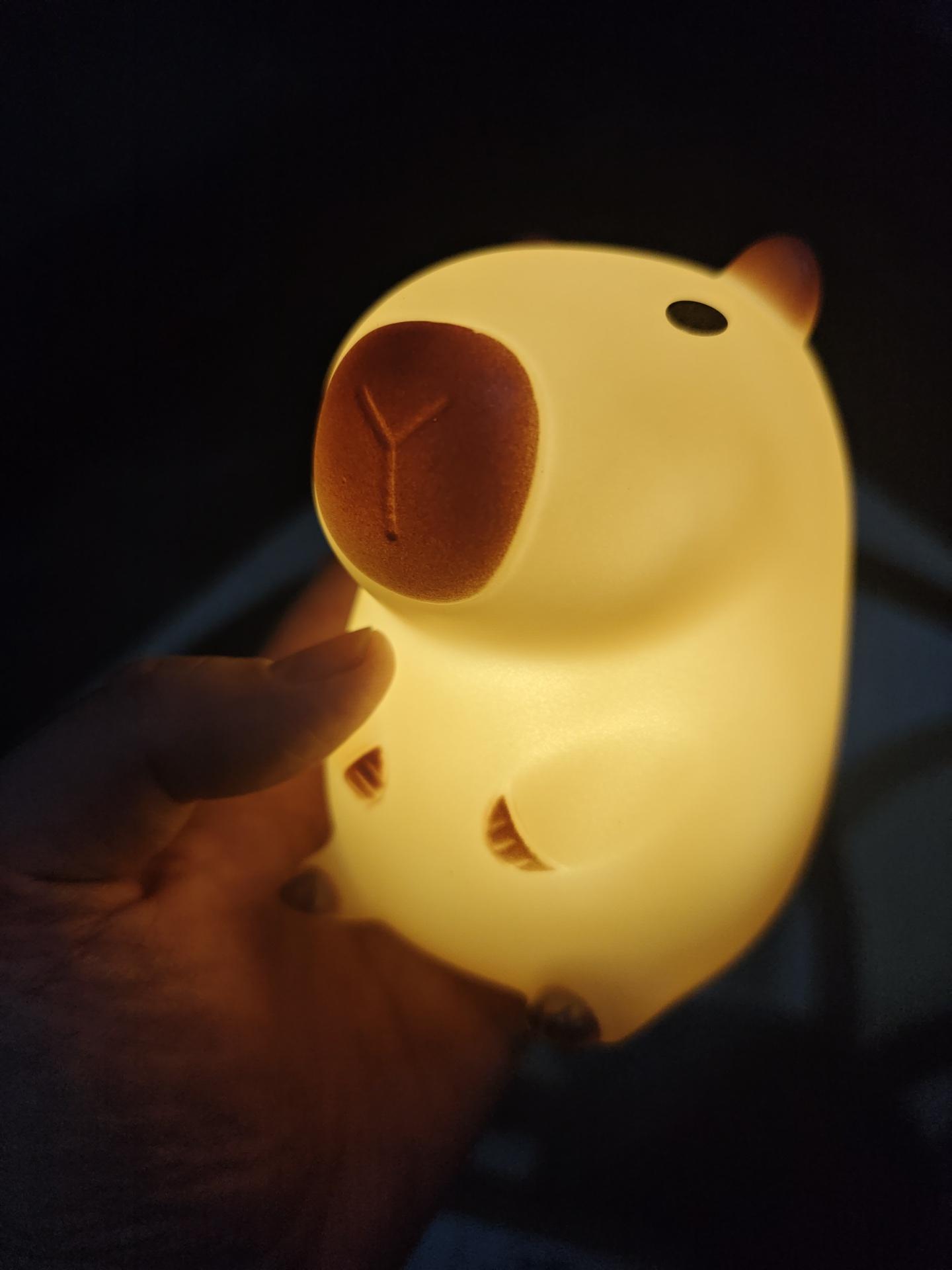 High-Quality Cute High-Quality Pet High-Quality Capybara High-Quality Night High-Quality Light High-Quality Cute High-Quality Cartoon High-Quality