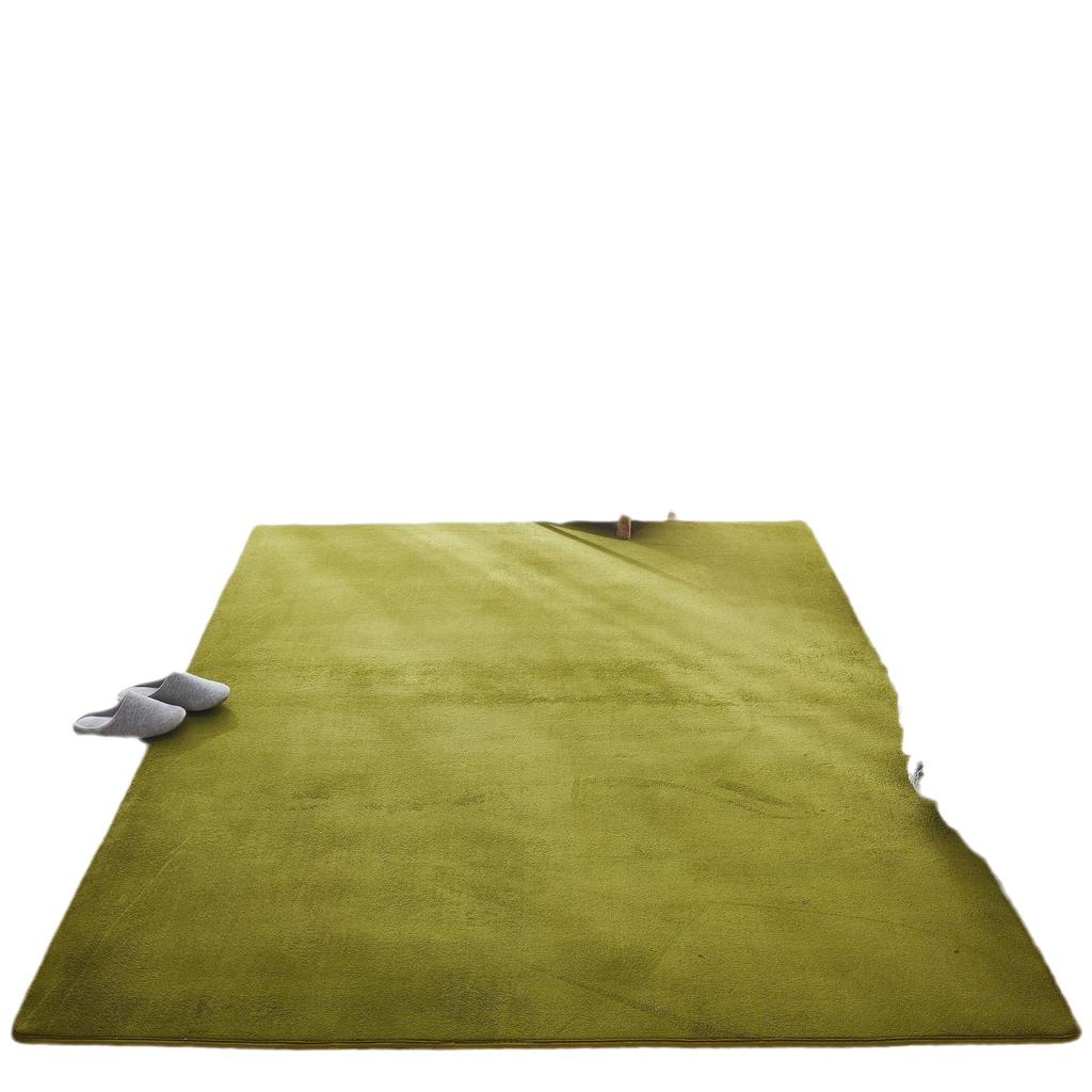 Thickened Coral Velvet Carpet Floor Mat Door Mat Door Entry Living Room Bedroom Bathroom Toilet Kitchen Absorbent Foot Mat