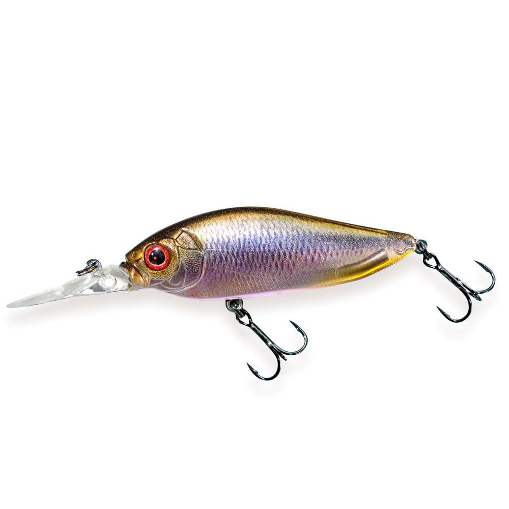 

DIVING FA ITO Kawamutsu FLAPSLAP(SP-C)