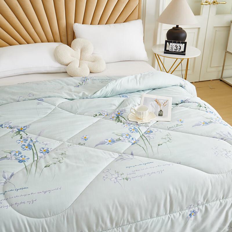 Begamann Fresh Floral Lavender Soy Fiber Warm Quilt