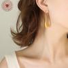 Brand French Geometric 18K Gold-Plated Titanium Steel Earrings - Irregular Shape and Cool Style for Women's Commuting Fashion