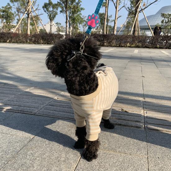 Yousheng Cat Recovery Suit Wound Prevention Anti Licking Professional Surgery Wear Anti-harassment Pet Jumpsuit Cat Costume