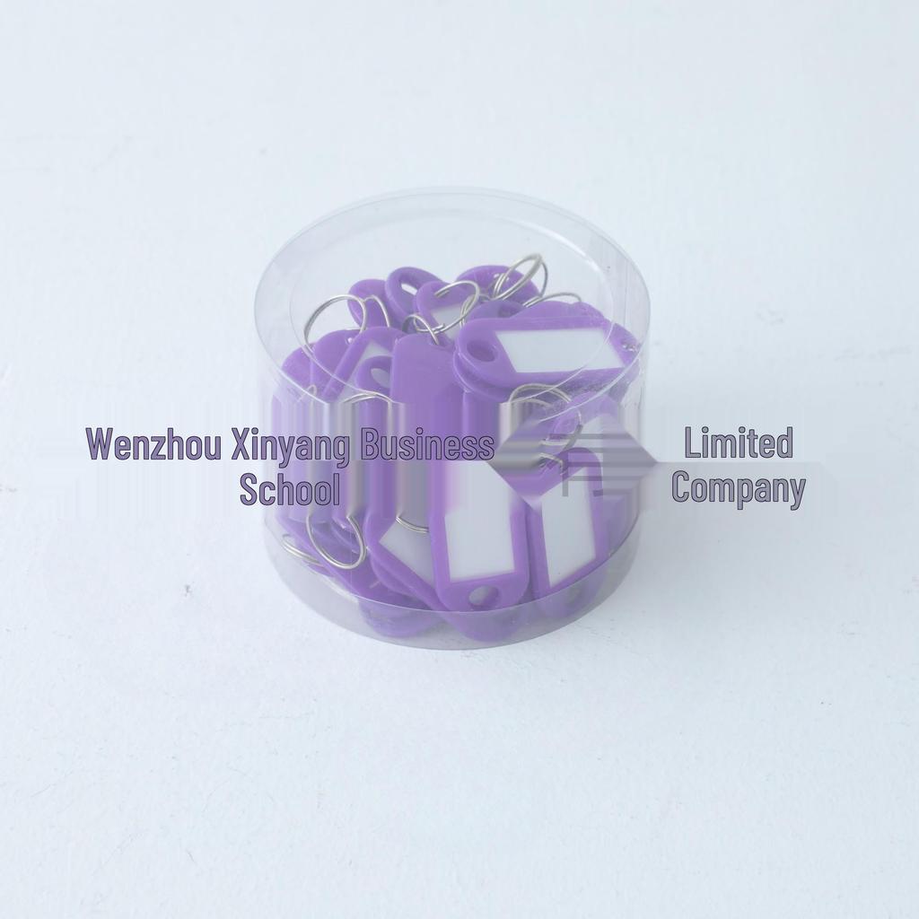 Colorful Detachable Plastic Key Tag Keyring for Office & Home Management