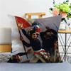 Napoleon Bonaparte Office Cushion Pillowcase Car Cushion Cover45X45Cm Lumbar Pillowcase Sofa Pillowcover