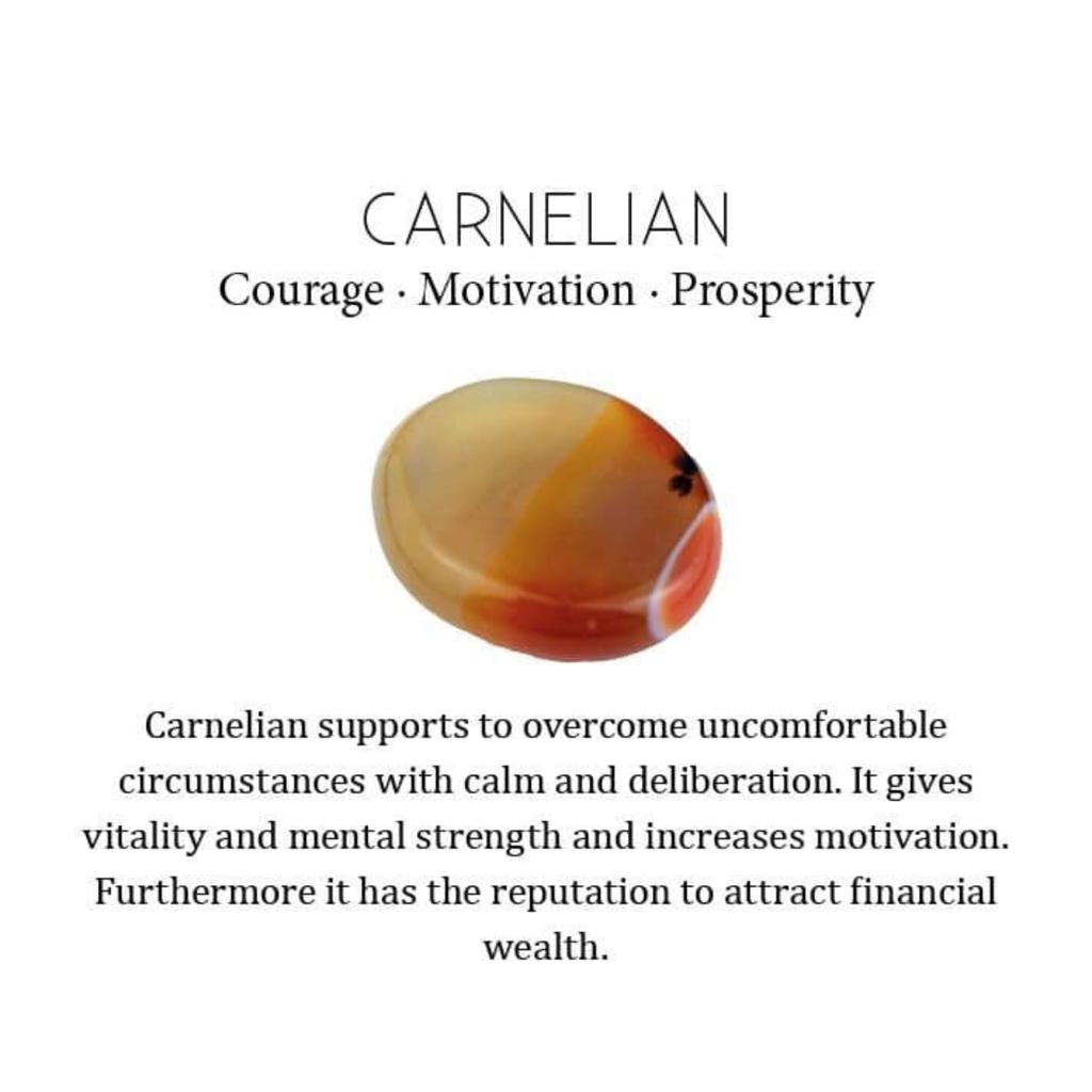 Fancy Sacral Chakra Natural Carnelian Copper Elegant Chain Sisters Gift Necklace V-19