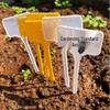 Snail & Insect Catcher: Children's Outdoor Bug Trap for Garden & Reptiles