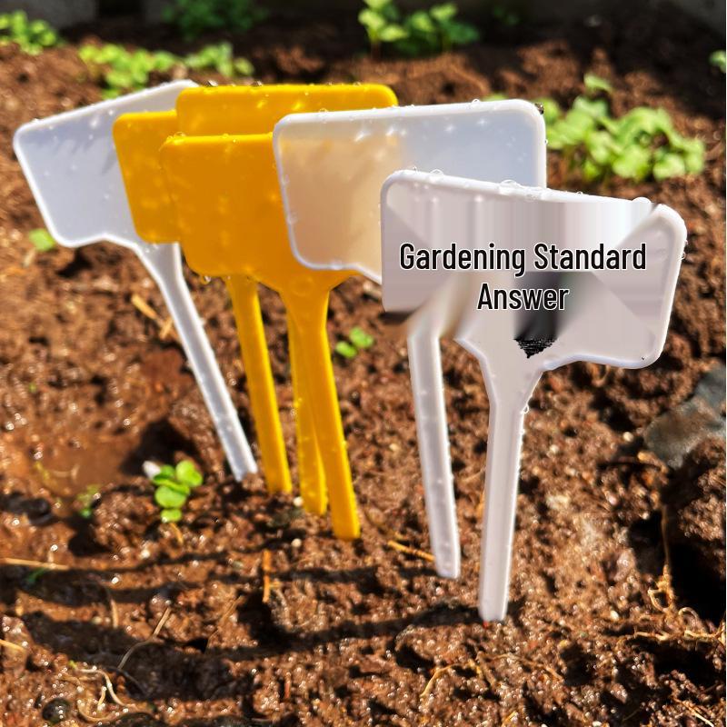 Snail & Insect Catcher: Children's Outdoor Bug Trap for Garden & Reptiles