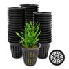 25-100x Hydroponic Pot Net Cups Garden Soilless Cultivation Slotted Mesh Net Cup Plastic Plant Rooter Grown Baskets Nursery Pots