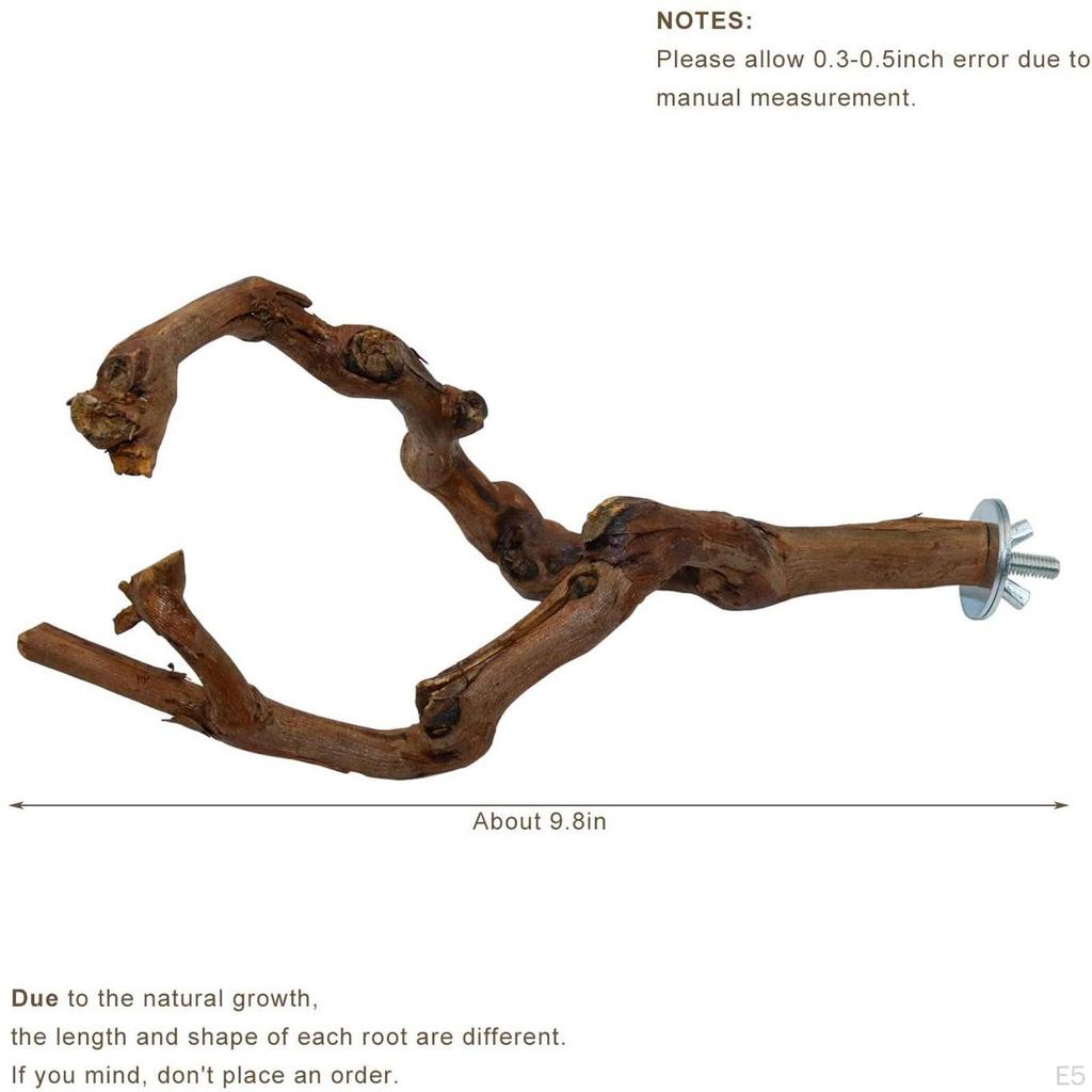 Parrot Bird Stand Tree Branch Resk Holder Toys Perches for Grinding Rest Pet Supplies