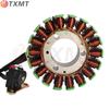 BMW G310GS G310R Motorcycle Magneto Coil Generator Stator