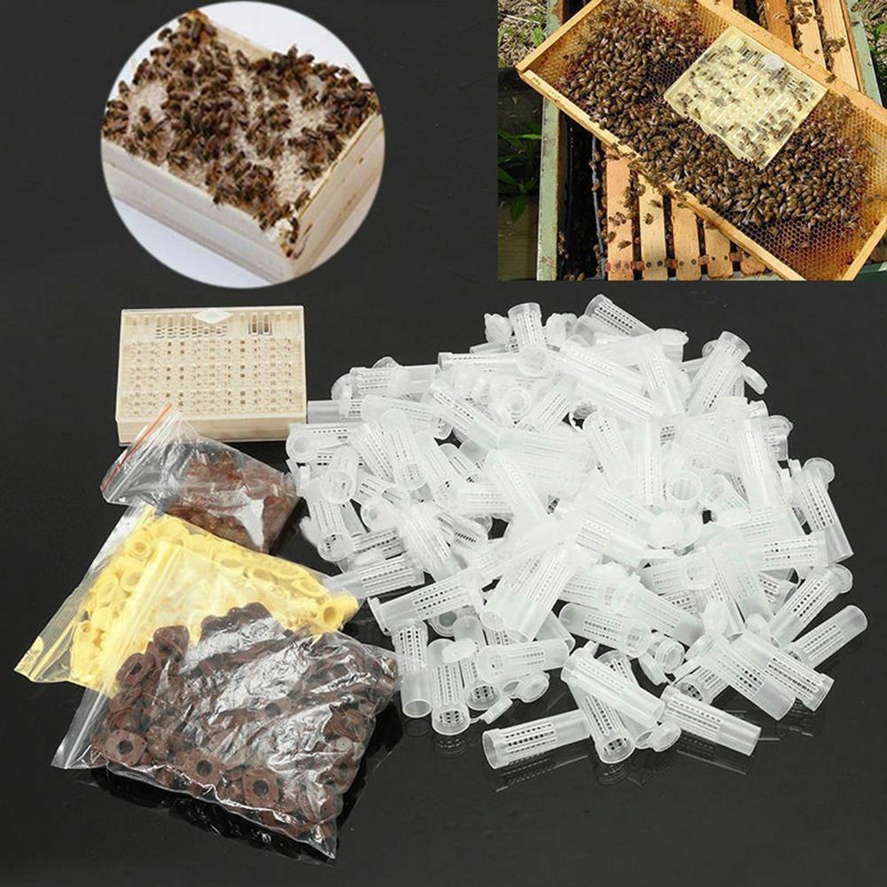 120pcs Bee Cell Cups Queen Rearing System Beekeeping Tool Cultivating Box Cell Cups Cage Complete Kit Apiculture Tools Supplies