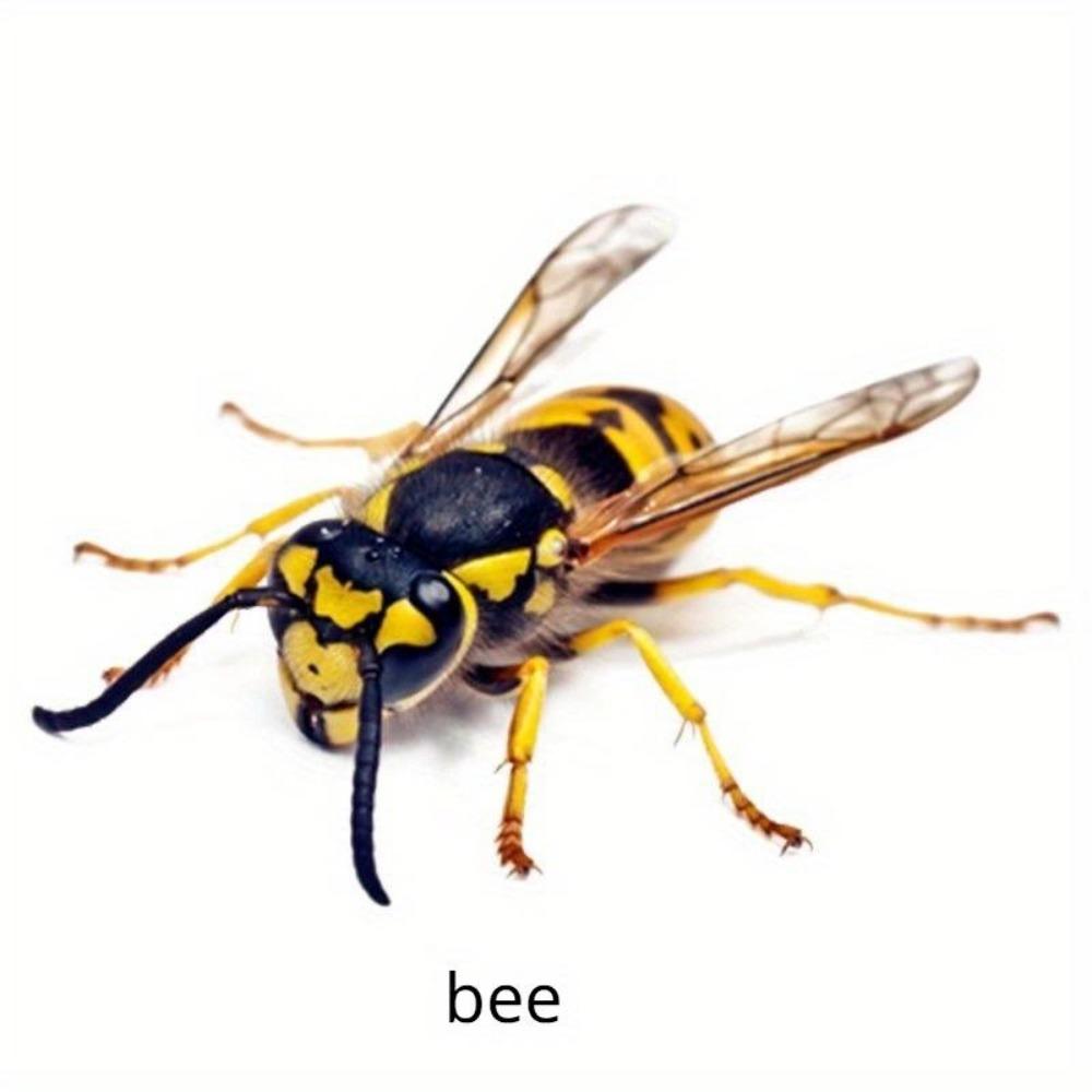 

2 шт очаровательная 3D стрекоза виниловая наклейка - водонепроницаемая и устойчивая к царапинам для автомобилей, мотоциклов, ноутбуков | Улучшает вашу поездку с уникальным шармом 2pcs