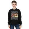 Friends Boys Fair Isle Holiday Armadillo Sweatshirt