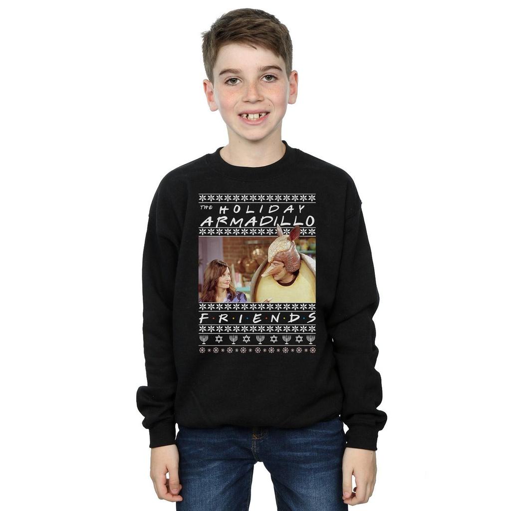 Friends Boys Fair Isle Holiday Armadillo Sweatshirt