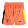 Puma Unisex Adult World Cup 25/26 Manchester City FC Goalkeeper Shorts