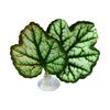 Betta Fish Leaf Pad Aquarium Decor Stress Relief Privacy Enhancing Realistic Resting Bed Hammock Simulating Habitat Easy to Clean High Simulation
