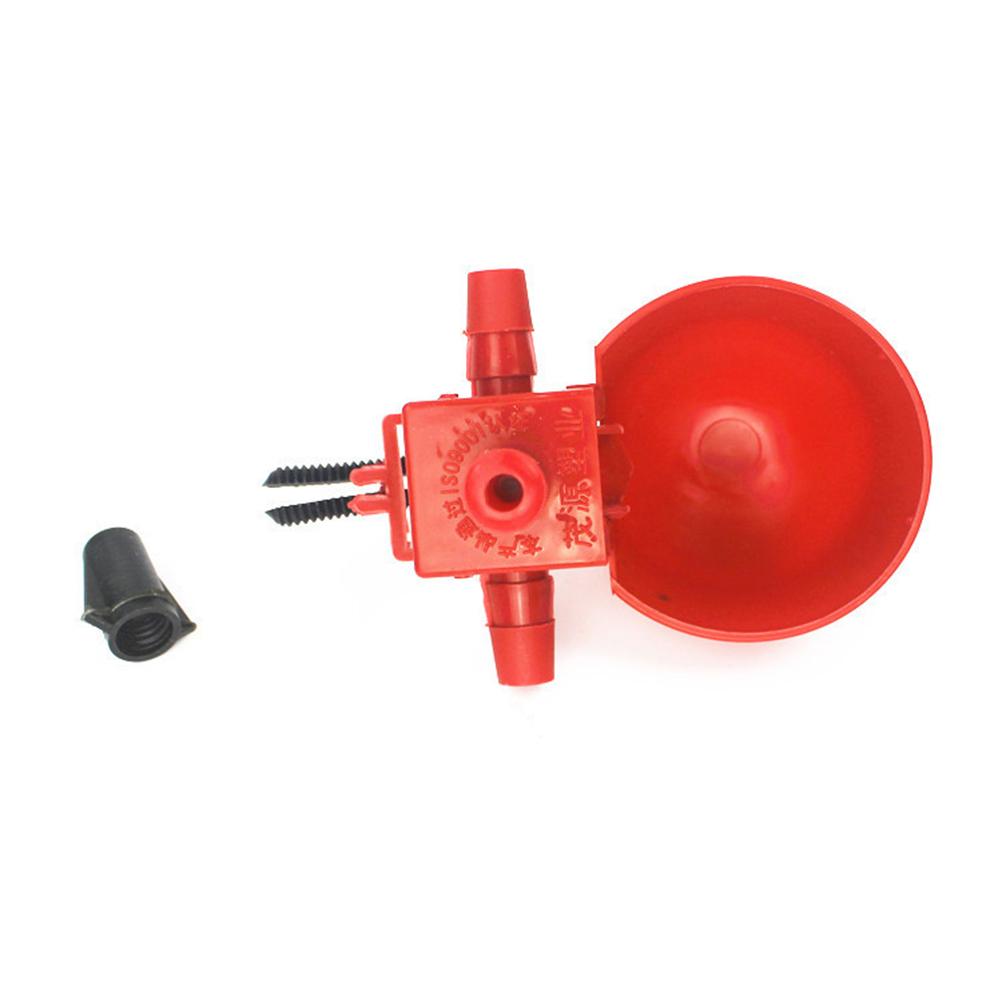 20 PCS Quail Drinker Poultry Water Drinking Cups Pigeon Chicken Fountain Stainless Steel