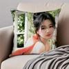 Fashion and elegant Chinese actress YYang Zi Cushion Cover Pillowcase Antidustmite Invisible Zipper Short Plush Sofa Cushion
