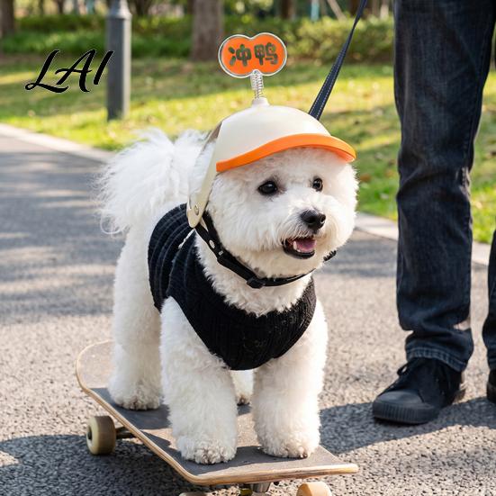 Outdoor Pet Protection Gear Adjustable Mini Puppy Helmet for Small And Medium Dogs Lightweight Protective Cute Dog Sun Hat Safety Hat Headgear with