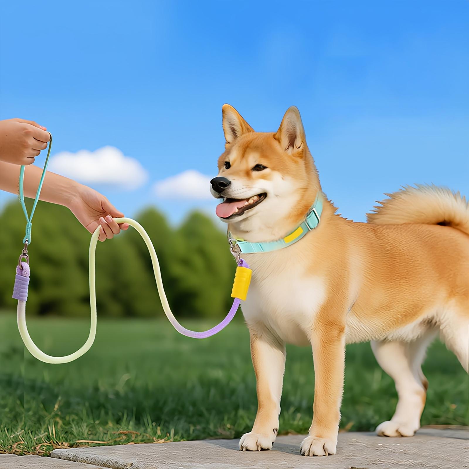 

Collar And Traction 2-in-1, Thickened And Widened P-rope, Won t Constrict Hands Or Neck. One Size