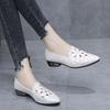 Single Shoes Female Real Soft Leather 2025 New Hollow Breathable Embroidery Four Seasons Women's Mother Shoes Thick Heel Soft Sole Work Shoes