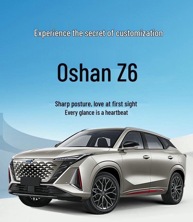 Oshan Z6 Compatible Full Leather Car Seat Cushion, All-Season Universal Fit, Set for Five-Seater