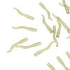 20 Pieces Carp Fishing Rigs Hook Aligner Line Tackle Accessories 21mm / 0.8inch
