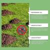 25-26 Mole Repellent - Powerful Vole Gopher Groundhog Rodent Repellant for Outdoor Lawn Garden Yard - Safe and Effective Gopher Mole Deterrent, Armadi