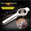 Manual Fruit and Ginger Press Juicer