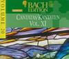 CD BACH; HOLLAND BOYS CHOIR - Bach Edition V.20  99379 Netherland Classical Used