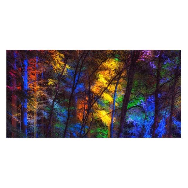 

Цветные лесные деревья Холст Картина Большой размер Плакат Художественная печать Современное искусство Настенная живопись Гостиная Спальня Украшение дома 50x100cm Unframed