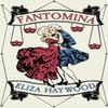 Fantomina by Eliza Haywood Paperback Book 9781913724023