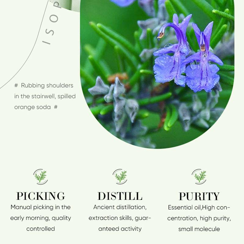 SADOER Rose Essential Oil Kamille Rosemary Lavendel Essence fukter låser vann og forskjønner hudtone Hudpleie