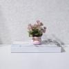 Ornaments Artificial Potted Flowers Mini Simulation Plants Gifts Potted Plants  Office