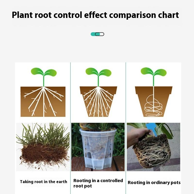 Water Storage Flowerpot Bonsai Basin Butterfly Orchid Breathable Hydroponic Pot Self Absorbing Basin Gardening Planting Tool