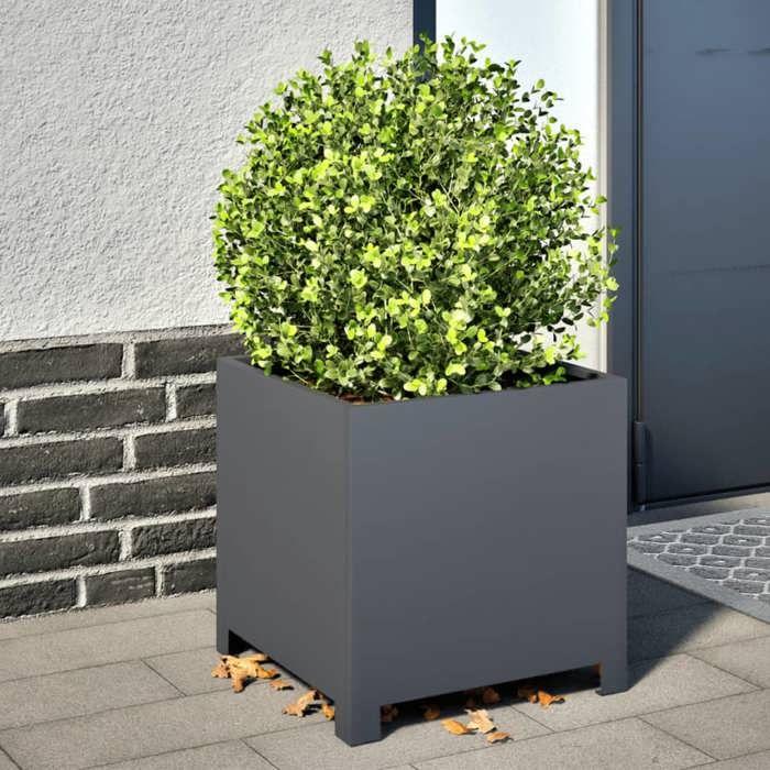 VidaXL Jardinières 2 pcs anthracite 40x40x40 cm acier, planteur, jardinière de patio, bac à fleurs, jardinière d'extérieur, 851204