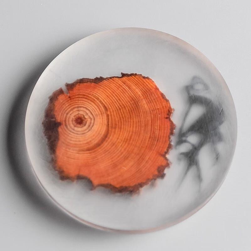 Paibei Round Pine & Resin Coaster