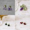 Vintage Artistic Sensi Purple Grape Brooch And Earrings Set For Women And Girls
