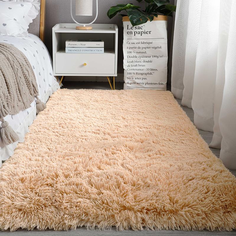 VIKAMA Velvet Area Rug, Living Room, Bedroom, Bedside Runner, Bay Window Rug, Floor Mat, Soft And Fluffy, Home Decor.