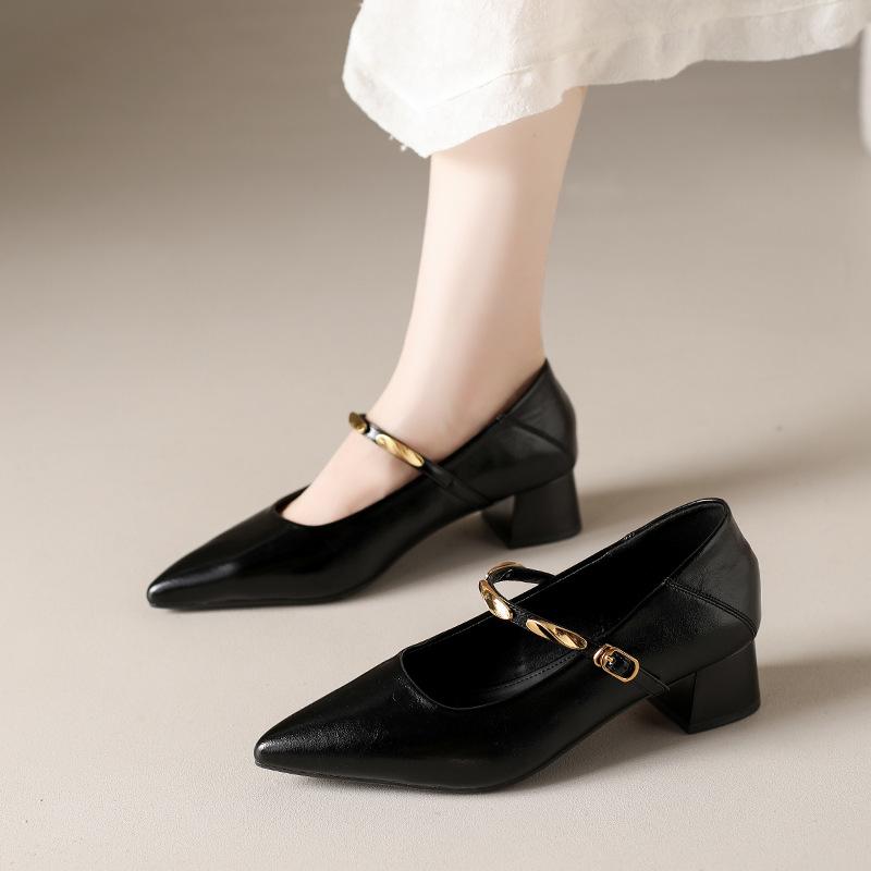 New Thick Heel Mary Jane Women's Shoes 2025 Spring and Autumn New French Pointed Metal Word with Middle Heel Single Shoes