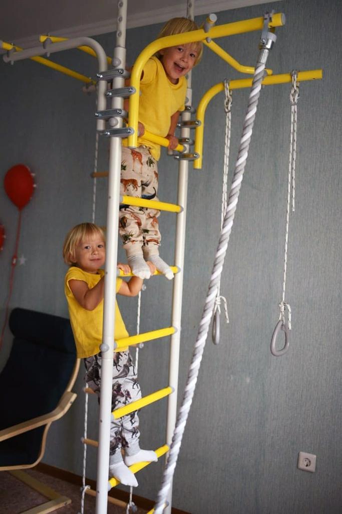 Gymnastic Ladder Transformer - Provenance