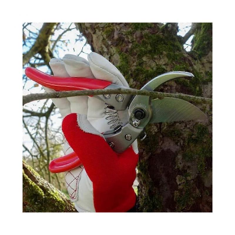 Pruning Shears with Advanced VS Technology