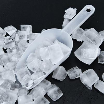Portable Measuring Cup Shovel Mini Plastic Ice Scoop Small Size Ice Scraper