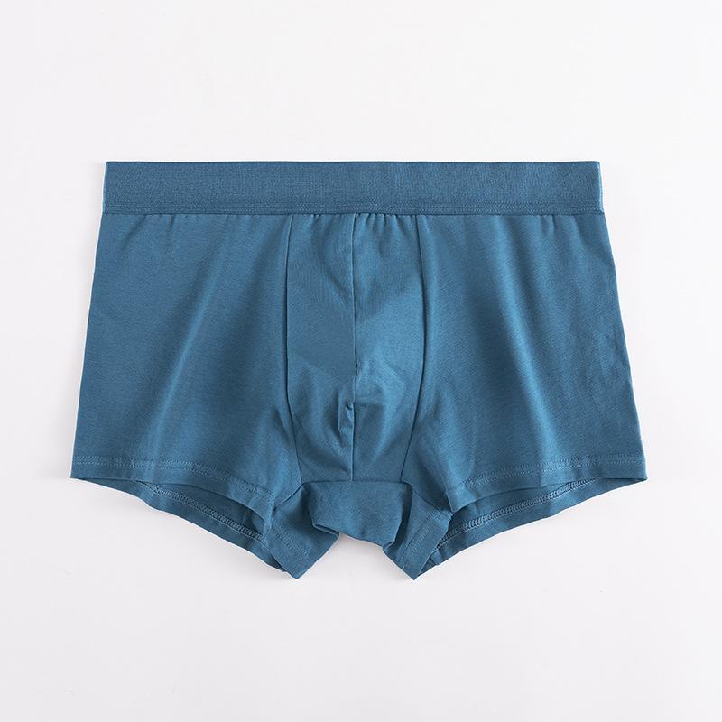 Mutandine Per Ragazzi(2932+) - Alibaba - Foto 13