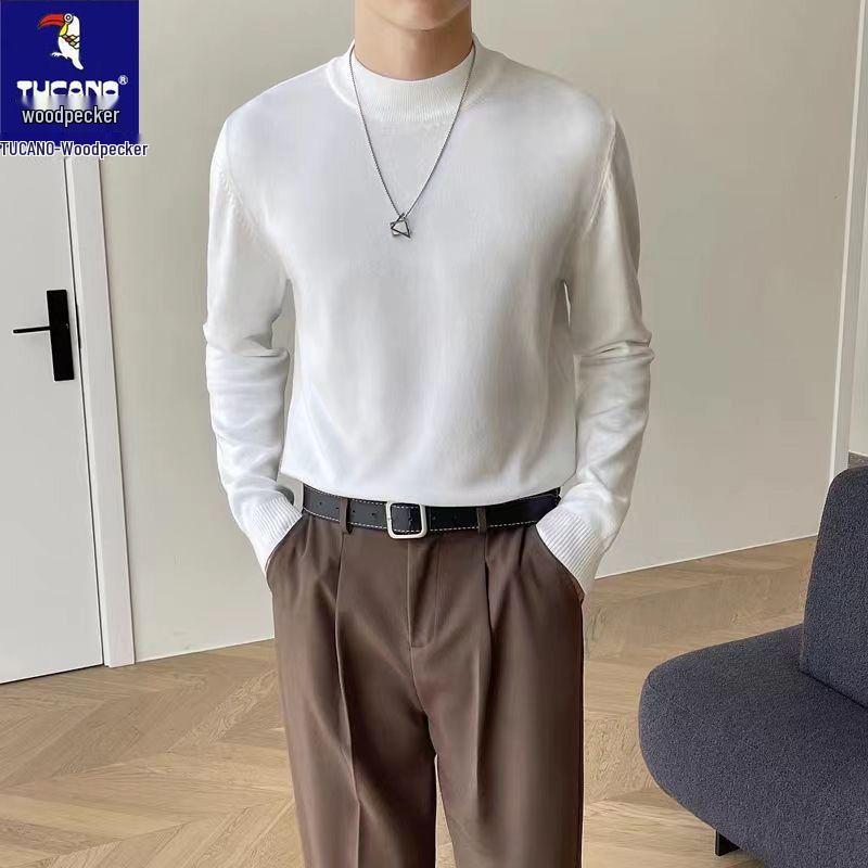 Specht 2025 Herren Rollkragenpullover – Unifarben gestrickt, Langarm, Herbst/Winter-Wärme, Hongkong-Stil